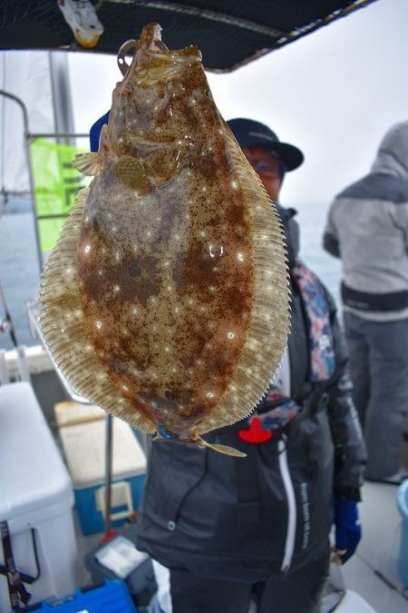 Fisherman Dreams DI 釣…