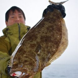 Fisherman Dreams DI 釣果