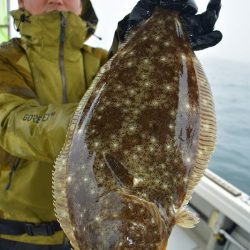 Fisherman Dreams DI 釣果