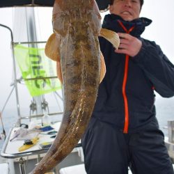 Fisherman Dreams DI 釣果