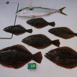 フィッシングボートACE(エース) 釣果