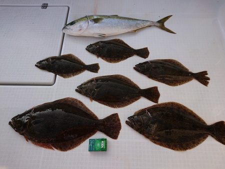 フィッシングボートACE(エース) 釣果