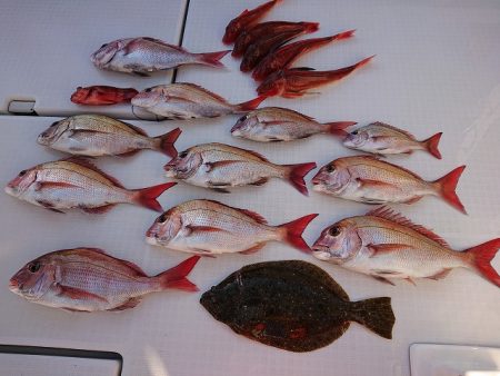 フィッシングボートACE(エース) 釣果