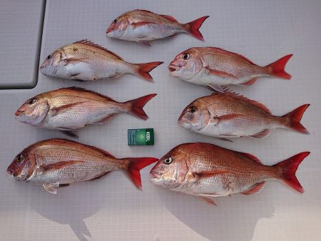 フィッシングボートACE（エース） 釣果