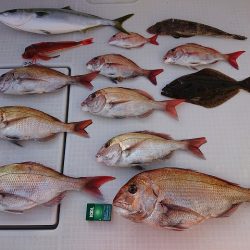 フィッシングボートACE(エース) 釣果