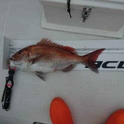 フィッシングボートACE(エース) 釣果