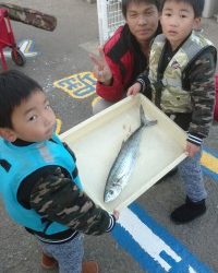 和歌山マリーナシティ釣り公園 釣果