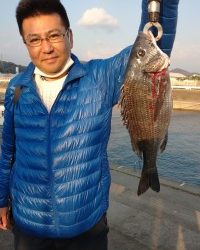 和歌山マリーナシティ釣り公園 釣果