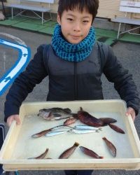 和歌山マリーナシティ釣り公園 釣果