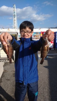 和歌山マリーナシティ釣り公園 釣果