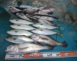 アジアマリンサービス 釣果