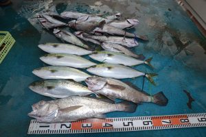 アジアマリンサービス 釣果