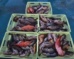 アジアマリンサービス 釣果