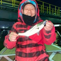 シーマジカル 釣果