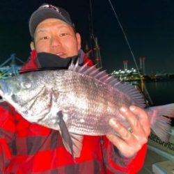 シーマジカル 釣果