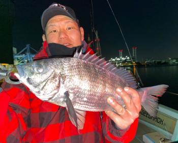 シーマジカル 釣果