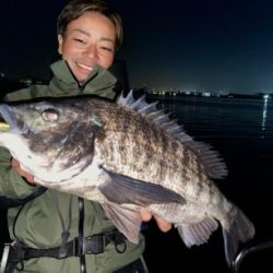 シーマジカル 釣果