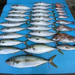 まるいち丸 ZERO-1 釣果