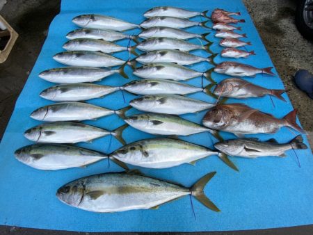 まるいち丸 ZERO-1 釣果