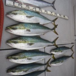 磯部釣船 直栄丸 釣果