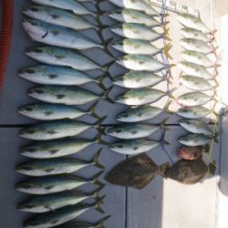 磯部釣船 直栄丸 釣果