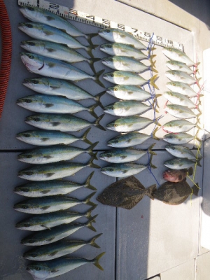 磯部釣船 直栄丸 釣果