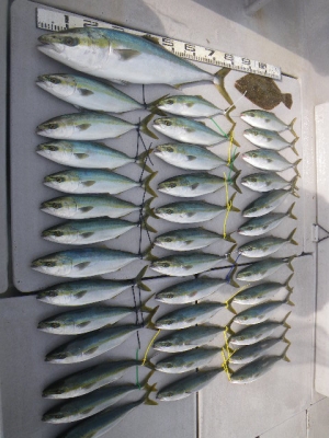 磯部釣船 直栄丸 釣果