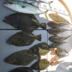 磯部釣船 直栄丸 釣果