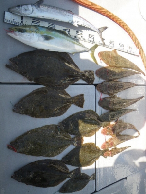 磯部釣船 直栄丸 釣果