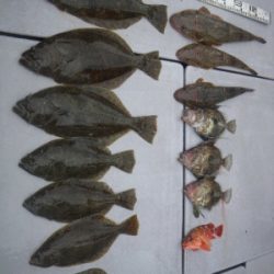 磯部釣船 直栄丸 釣果