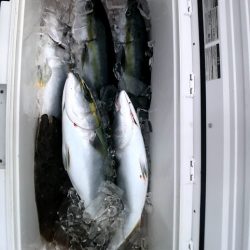 オーシャンズ 京都 釣果