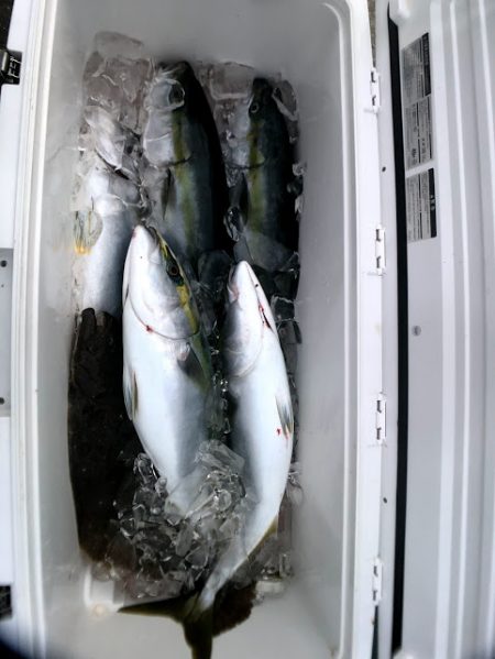 オーシャンズ 京都 釣果