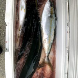 オーシャンズ 京都 釣果