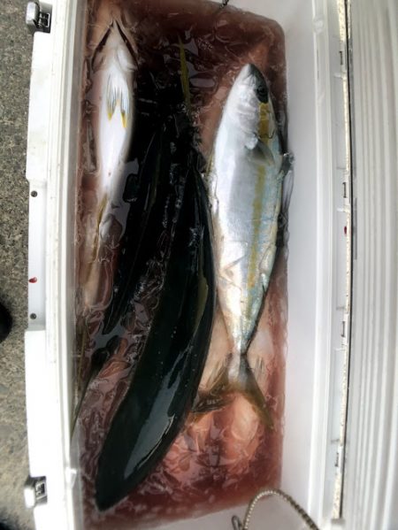 オーシャンズ 京都 釣果