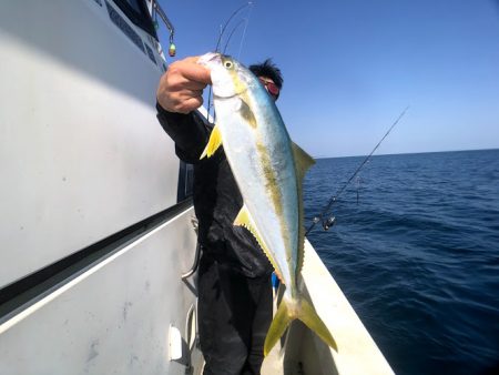 オーシャンズ 京都 釣果