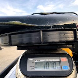 オーシャンズ 京都 釣果