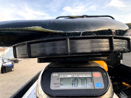 オーシャンズ 京都 釣果