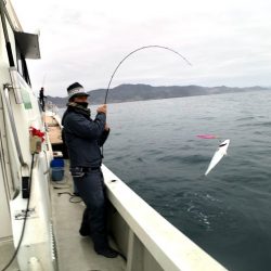 オーシャンズ　京都 釣果