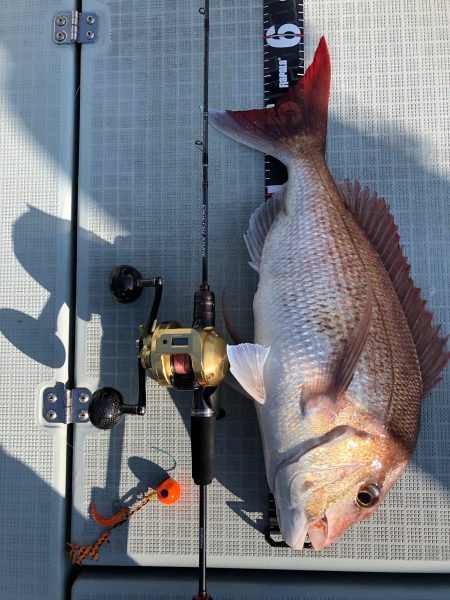 星隆丸 釣果