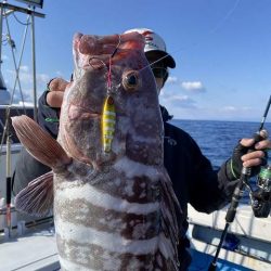 三吉丸 釣果