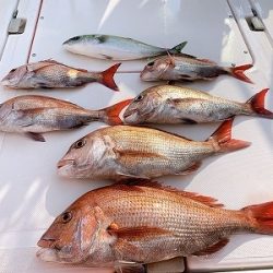 フィシングボートAir(エアー) 釣果