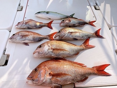 フィシングボートAir(エアー) 釣果