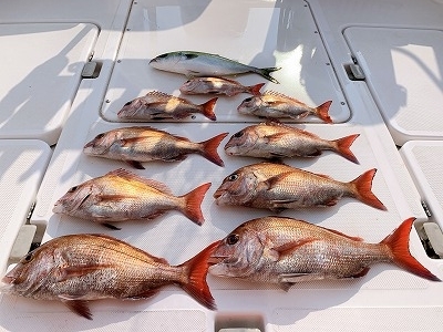 フィシングボートAir(エアー) 釣果