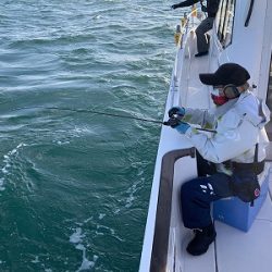 フィシングボートAir(エアー) 釣果