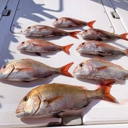 フィシングボートAir(エアー) 釣果