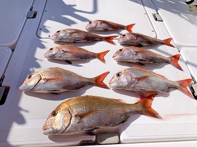 フィシングボートAir(エアー) 釣果