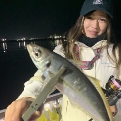 フィシングボートAir(エアー) 釣果