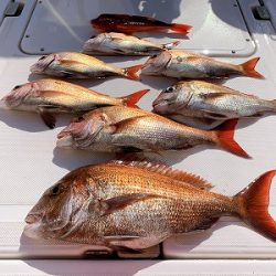 フィシングボートAir(エアー) 釣果