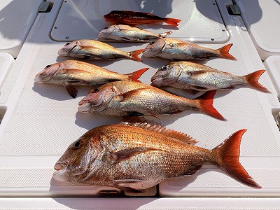 フィシングボートAir(エアー) 釣果