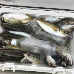 深川 吉野屋 釣果